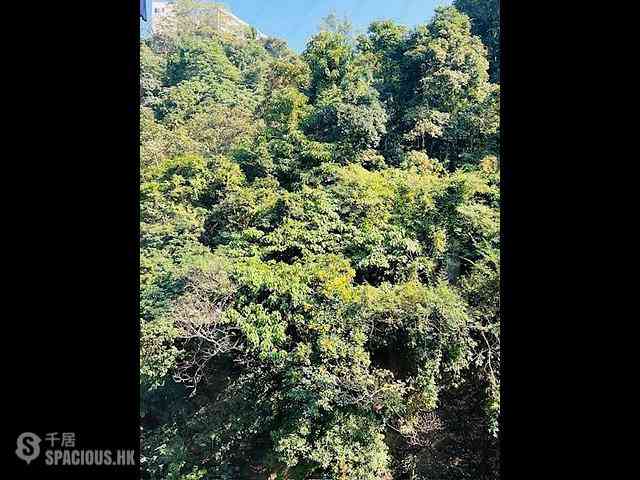 Happy Valley - Fairville Garden 02