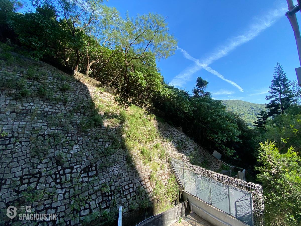 薄扶林 - 置富花園 01