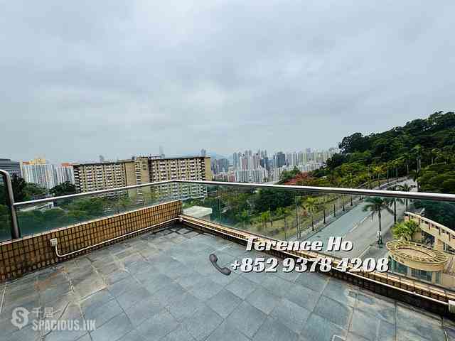 Beacon Hill - Dynasty Heights Tropicana 02