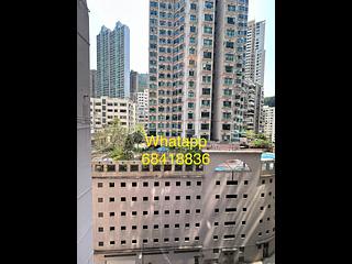 Sai Ying Pun - Cheery Garden 06