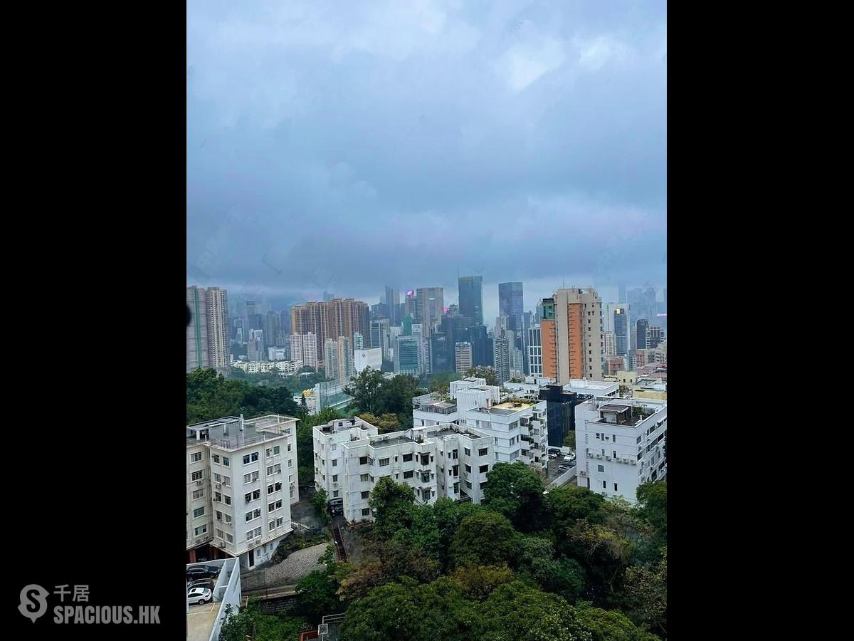大坑 - 大坑台 01