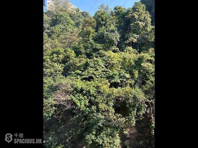 Happy Valley - Fairville Garden 06