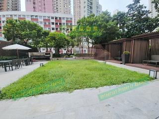 Kennedy Town - Lexington Hill 27