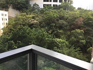 Tai Hang - Warrenwoods 05