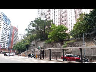 炮台山 - 建康花园 08