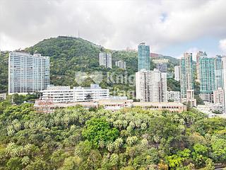 東半山 - 御花园 15