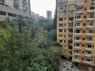 西半山 - 华翠园 17