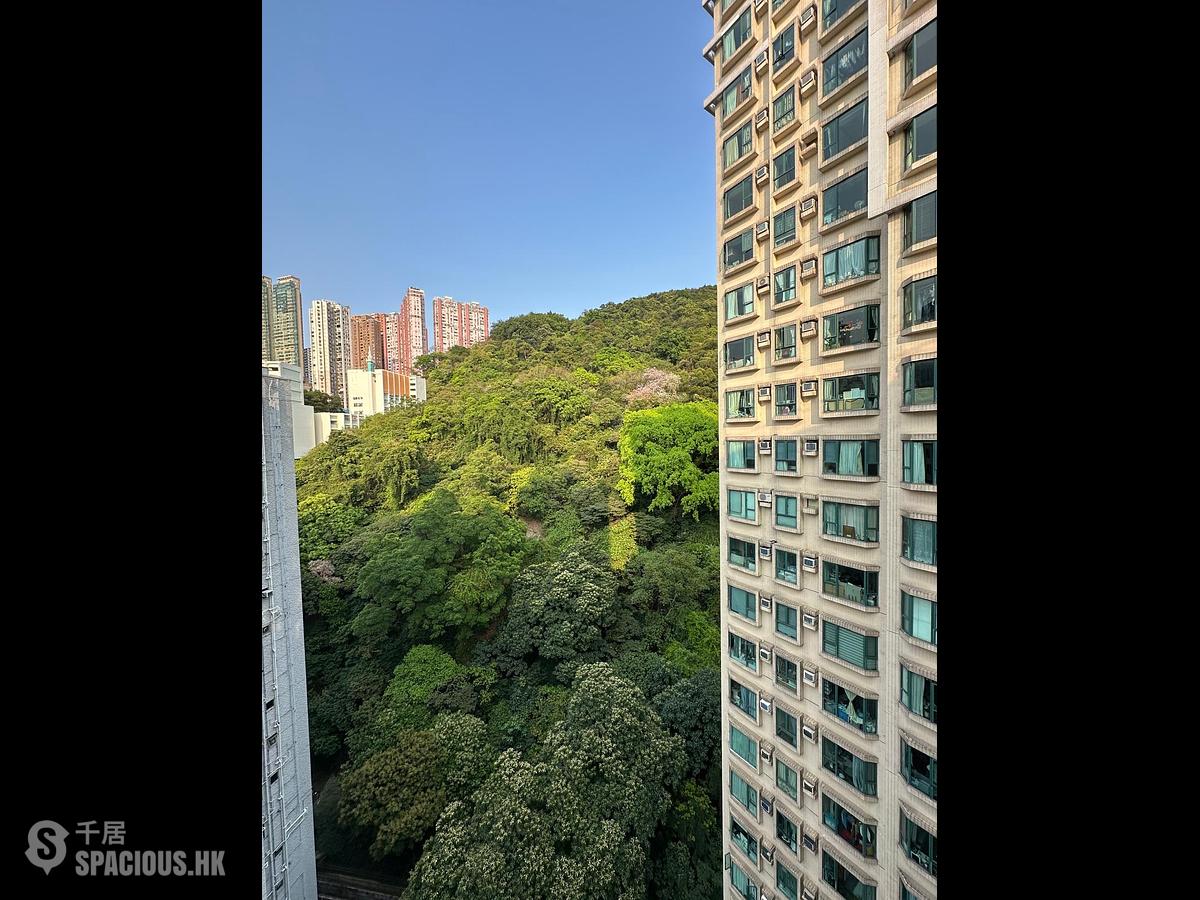 天后 - 龍景花園 01