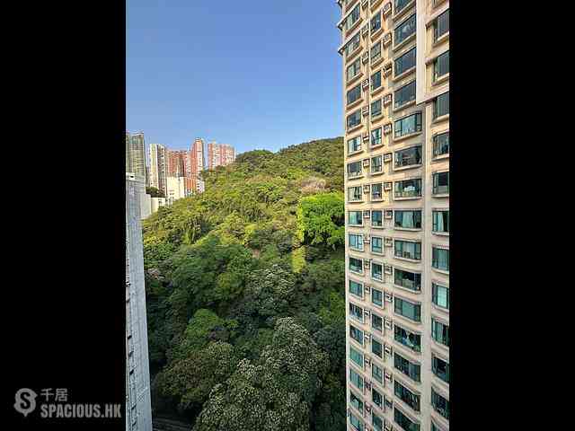 天后 - 龍景花園 01
