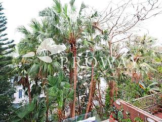 壽臣山 - 壽山花園 02