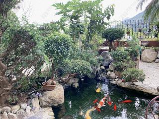 山頂 - 頤翠園 09