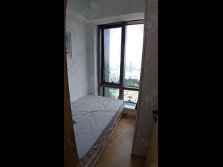 Causeway Bay - Jones Hive 05