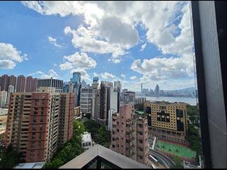 Causeway Bay - Jones Hive 02