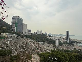 Pok Fu Lam - Greenery Garden 06