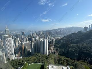 The Peak - Infinity 12