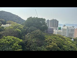 西半山 - 大学阁2座 05