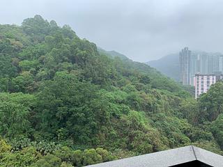 Tin Hau - The Pavilia Hill Block 5 03