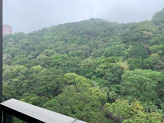 Tin Hau - The Pavilia Hill Block 5 04