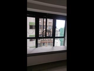 Poho - Rich View Terrace 04