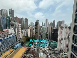 Poho - 欣翠阁 07