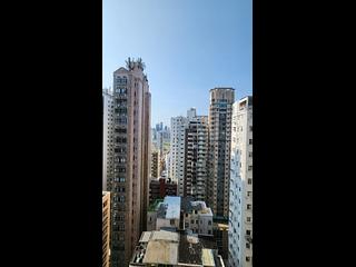 跑馬地 - 威利閣 12