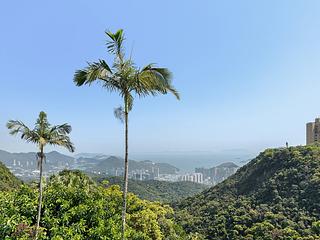 山頂 - 永安邨 02