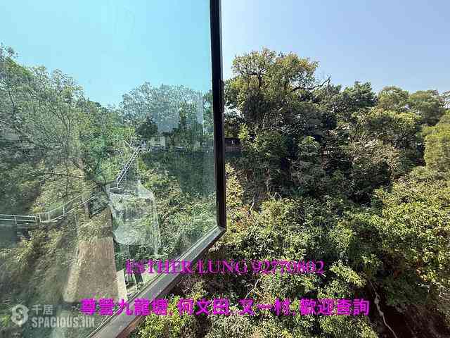 Ho Man Tin - Grandco Mansion 01