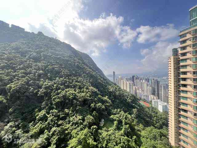 中半山 - 地利根德阁 02
