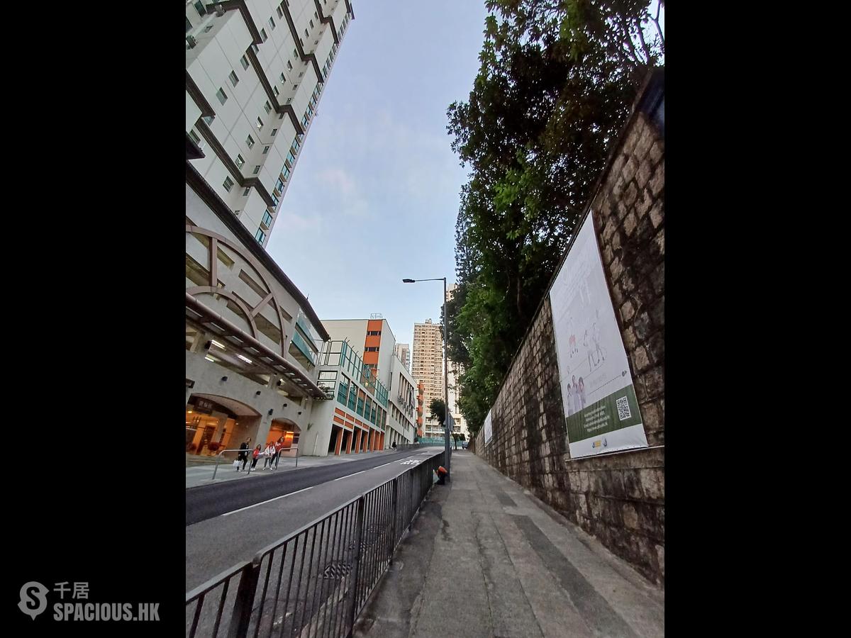 Tin Hau - Piedmont Garden 01