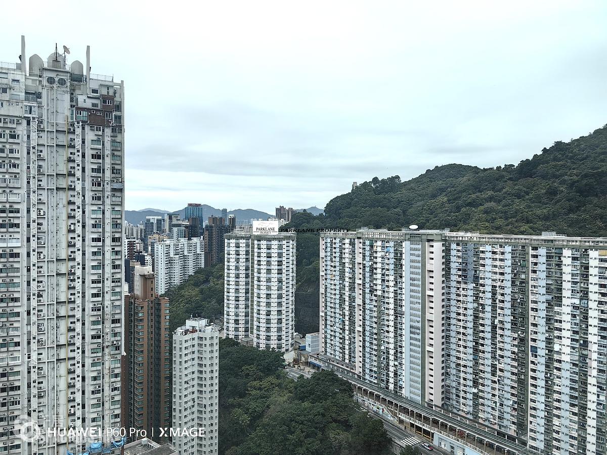 大坑 - 渣甸豪庭 01