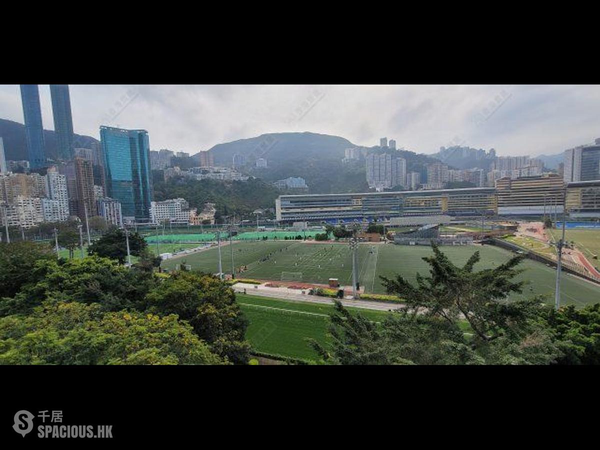 Happy Valley - Race Tower 01
