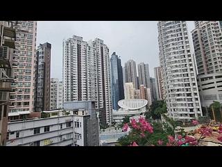 西半山 - 恒柏园 03
