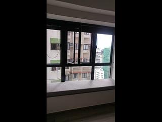 Poho - Rich View Terrace 05