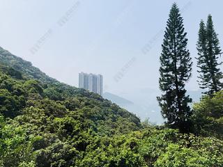浅水湾 - 海峰园 10