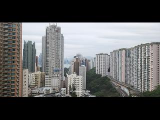 大坑 - 春晖8号 12