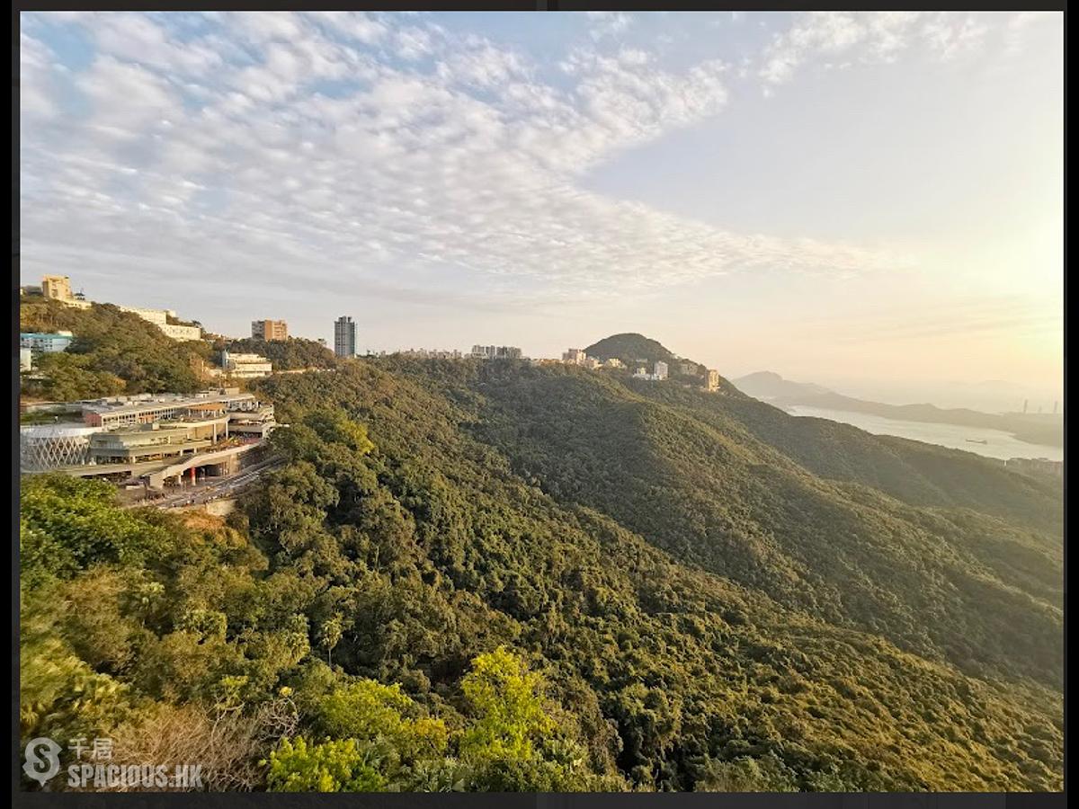 山顶 - The Mount Austin 2座 01