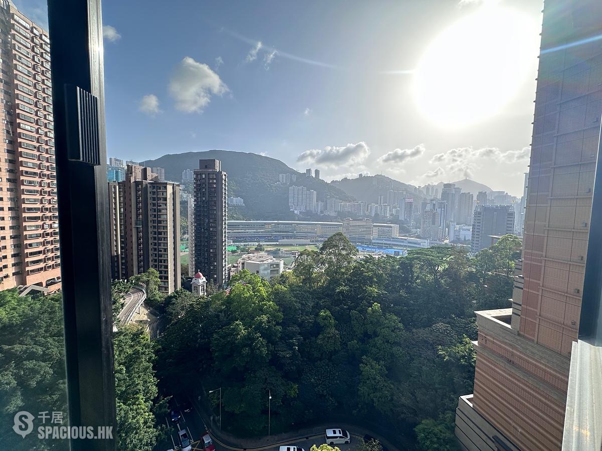 Happy Valley - Greenway Terrace 01