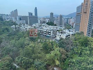 油麻地 - 帝庭园 05