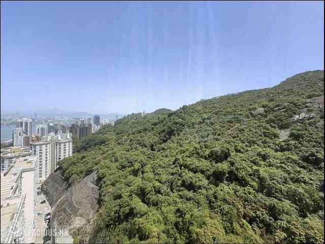 Tai Hang - Serenade 01