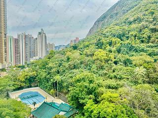 西半山 - 聯邦花園 07