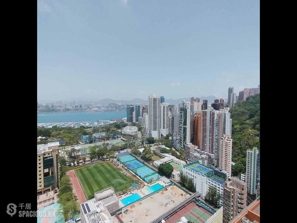 Causeway Bay - Jones Hive 01