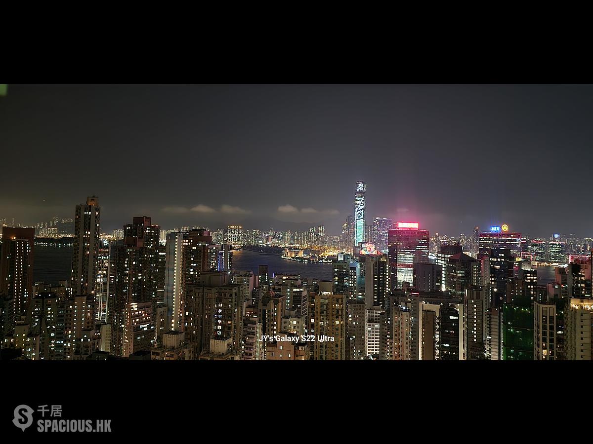 西半山 - 罗便臣道80号2座 01