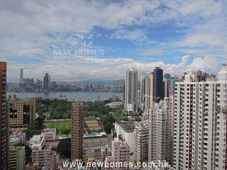 Causeway Bay - Illumination Terrace 03