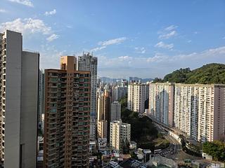 大坑 - 龙园 12