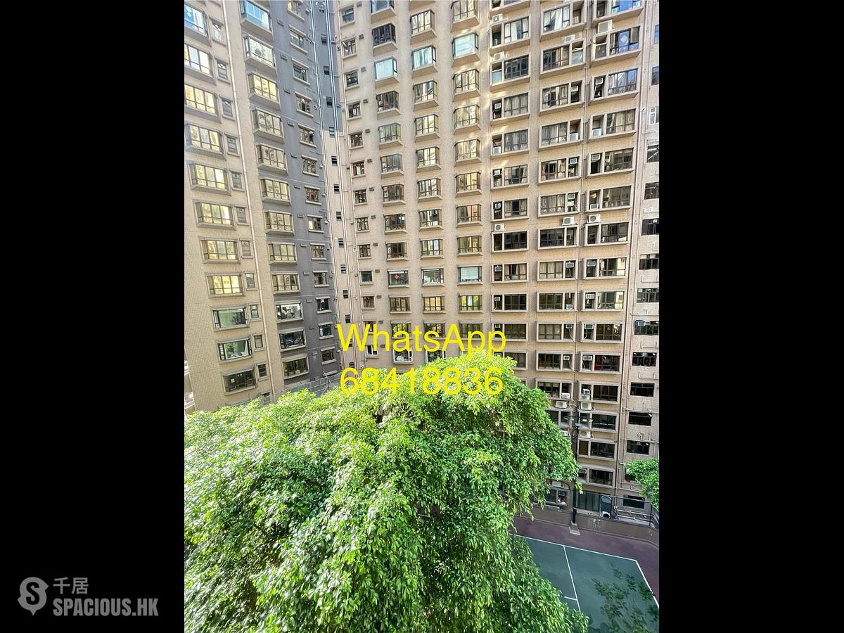 Sai Ying Pun - Shing Kok Mansion 01