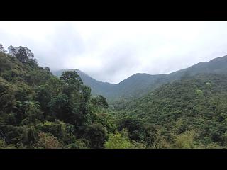 鰂魚涌 - 康怡花園A座 13