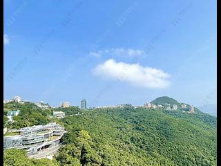 山顶 - The Mount Austin 09