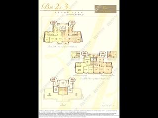 山顶 - The Mount Austin 11