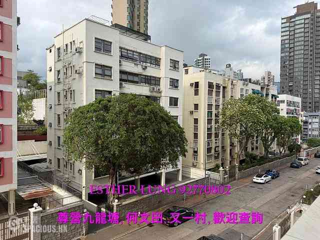 九龙城 - 广梅大厦 01