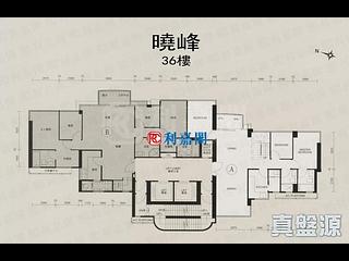 北角 - 晓峰 16